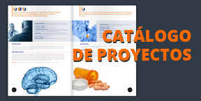 voluntarios-slider-660x330